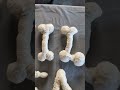 💀 Using Great Stuff Foam to make *spooky* skeleton letters! #DIY #halloween #decor #spooky #cute