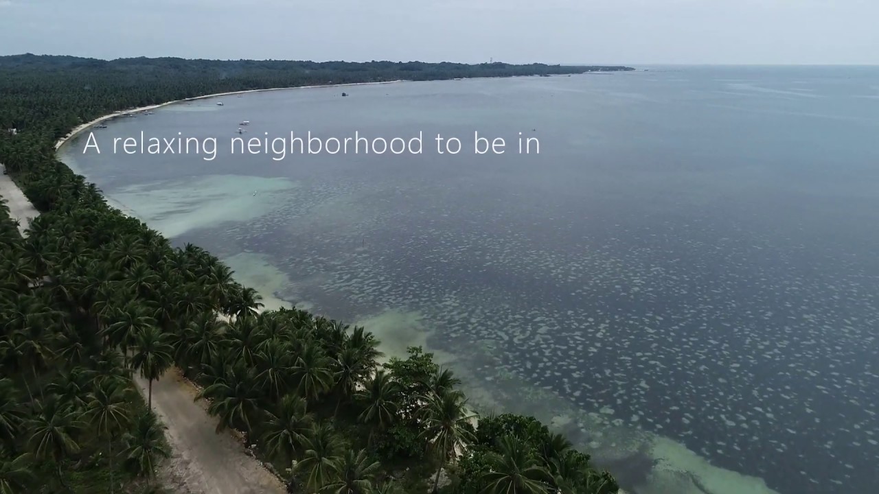 Lots in  Siargao Island - Residential Ideal for Beach House/ Retirement/ Villa/ Vacation Home