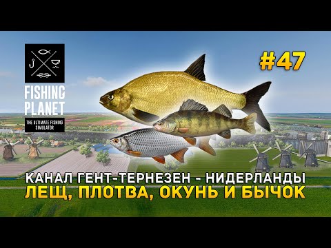 Видео: Канал Гент-Тернёзен - Нидерланды. Лещ, Плотва, Окунь и Бычок - Fishing Planet #47