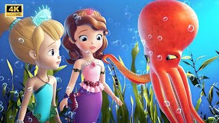 Sofia The First - Sofia and her friend | Animation Video | #cartoon #animatedfilms
