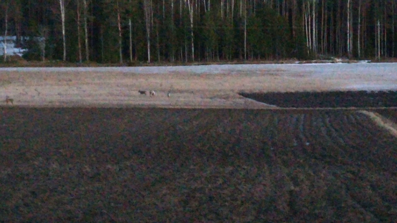 Top 10 National geographic films YouTube