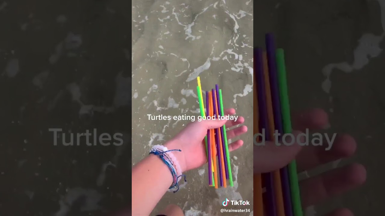 throwing plastic straws in ocean turtles eating good today Tik Tok