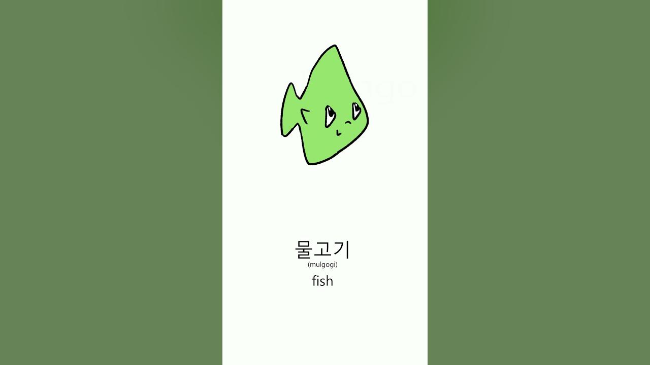 how-to-say-fish-in-korean-youtube