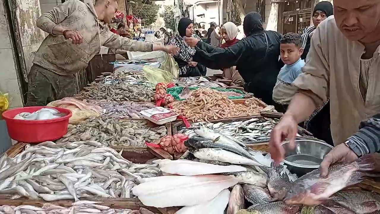 أسماك 🐟 🐟 🐟 طازة وأسعار الفراخ والوراك ٦٥البانيه ١٥٥الفراخ ب٦٥في أسواق 🛍 باب الشعرية 