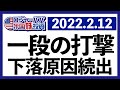 大型ハイテク続落!下落要因が見事に揃ってしまった今週の米国株式相場を振り返ります【米国株投資】2022.2.12