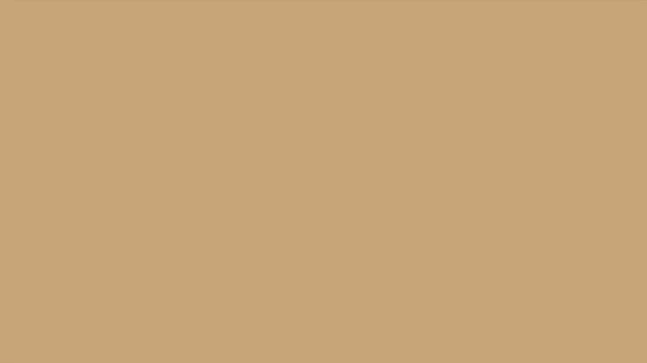 10 Hours BEIGE the CALM COLOUR | RAL 1001 | NO MUSIC | BEIGE Screen  Screensaver Background Backdrop