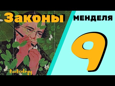 Законы Менделя и решение задач