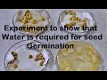 Seed Germination Quiz