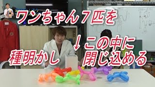 【実験150】 【種明かし】ワンちゃん７匹を狭い箱に閉じ込める / 米村でんじろう[公式]/science experiments/液体窒素