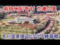 【桃源郷】南信州阿智村 花桃の里 2026年4月【月川温泉】