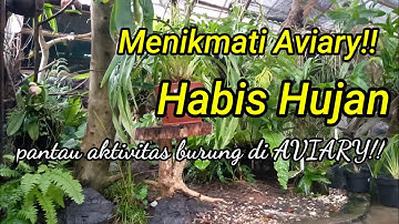 Menikmati Indahnya Suasana Aviary, Setelah Hujan