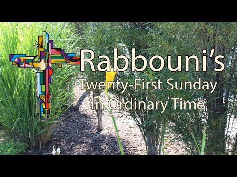 Twenty First Sunday In Ordinary Time 2023