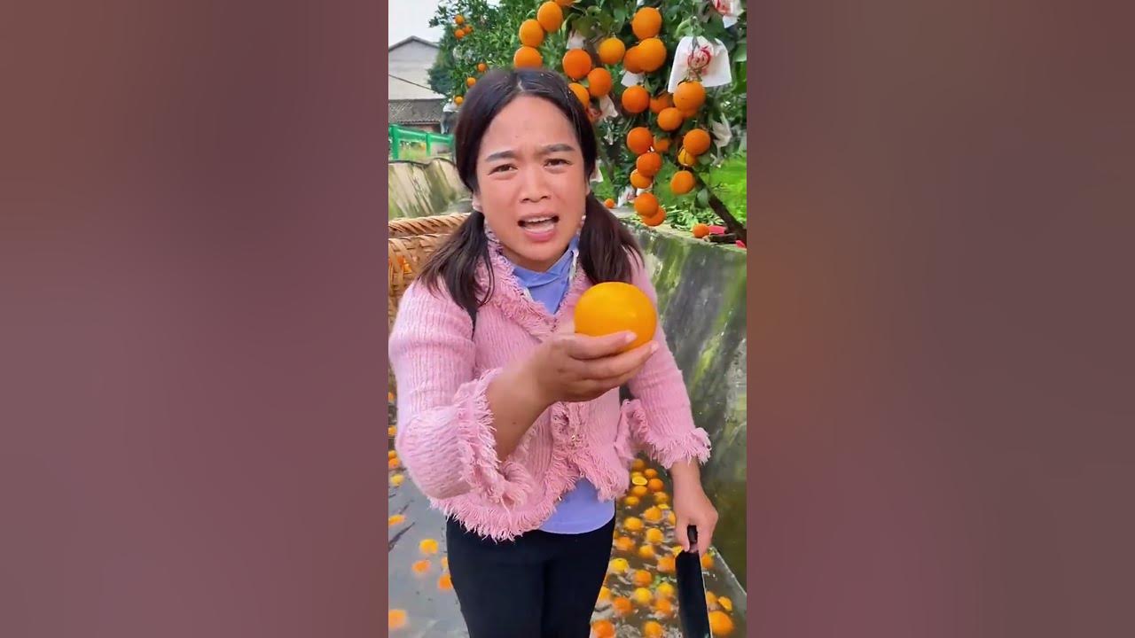 ¡Así Se Cosechan Naranjas en Asia Directamente en Canales de Agua!🍊🌊 #shorts