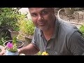 21 March 2026 Saturday Anupam Mishra Is Live 427 Live Livestream 