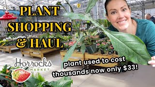 $14 Rare Philodendron! Amazing Indoor Plant Shopping at Horrock's Market & Plant Haul  Michigan