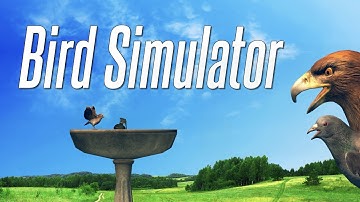 Bird Simulator - Official Trailer