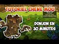 Chêne Mou Dofus Retro | Tutoriel Complet de A à Z | 30 Minutes par Donjon En Team Enu !