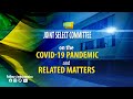 Joint Select Committee on the COVID-19 Pandemic and Related Matters - March 16, 2021