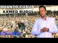 Dhaanto cusub  axmed budul  waa rag laysku haleeyo 2021 official vedio