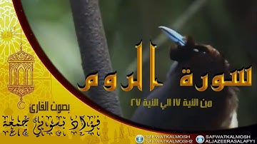 تلاوات خاشعة سورة الروم 17-27 للقارئ فؤاد جمعة .HQ