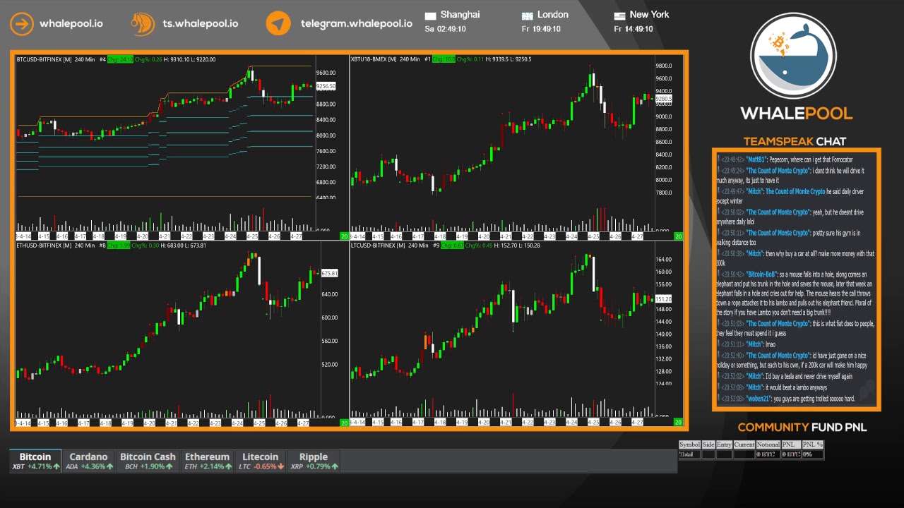 Whalepool live bitcoin cryptocurrency trading stream 24 7 365