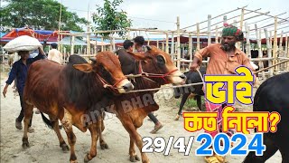 Bhai Koto Nilo, Ashulia Cattle Market 2024 Qurbani Cow Price In Bangladesh PART 6