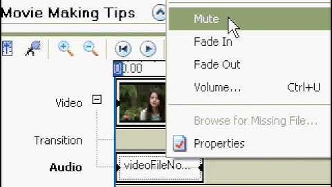 How To~Mute A Video