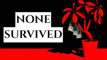 Every Reserve Currency in History (And The Pattern They All Followed)