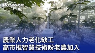 農業人力老化缺工 高市推智慧技術盼老農加入20231128 公視晚間新聞