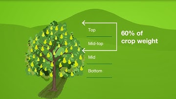 Focusing on the top and inner part of your crop canopy to achieve coverage