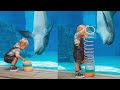 Cute Dolphin &amp; Baby Playtime + NEW Walking With Giants Whales Exhibit! | Clearwater Marine Aquarium!