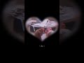 Just us 🐔🐓♥️ --- #love #animals #chicken #birds #حب #couple #romantic #رومانسي #فراخ #طيور #funny