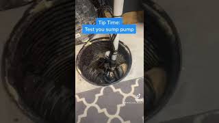 Test Your Sump Pump