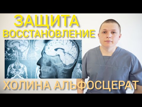 ХОЛИНА АЛЬФОСЦЕРАТ l ЗАЩИТА И ВОССТАНОВЛЕНИЕ l Choline Alfoscerate