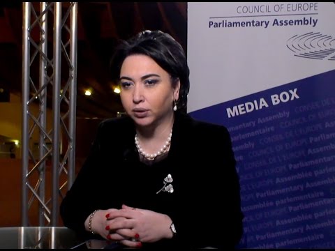 ეკა ბესელია ევროსასამართლოს გადაწყვეტილებათა აღსრულების ქვეკომიტეტის პრეზიდენტად არჩევის შესახებ