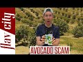 You're Buying FAKE Avocado Oil - The Great Avocado SCAM!