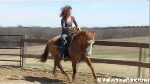 DunItOnaBar - Feather    ***For info, price, etc., go to our website*** Valley View Ranch