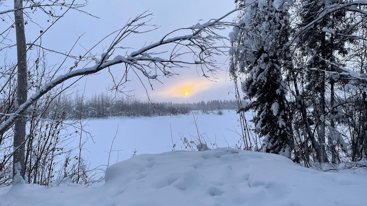 Tanana Lakes Recreation Area with Fresh Snow