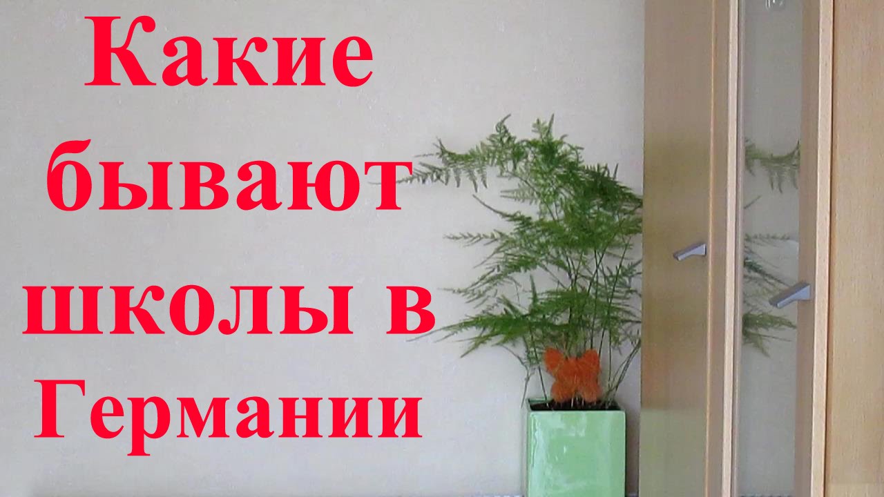 школы в германии фото