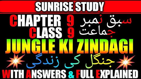 Chapter 9 urdu class 9 with Answers JUNGLE KI ZINDAGI Jaan pehchan CBSE NCERT Book
