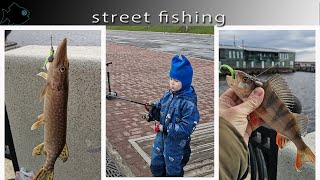 вести с Набережной Северной Двины на 25 05 Street Fishing