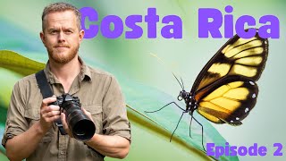Bird Photography COSTA RICA (p2) | don't judge a book by it's cover