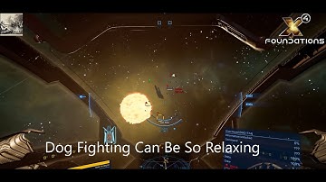 Dogfights of Our Lives | X4 Foundations Pirate Run 27