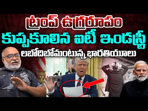 Trump Decision Makes Confusion In IT Profession, Tension In India's | Modi | Telugu Rajyam