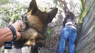 Top Police K9 Takedowns & Captures Caught on Bodycam
