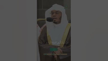 ماتيسر من سورة فصلت | القارئ: ياسر الدوسري