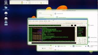Compiz Fusion on Ubuntu Gutsy Tribe 3