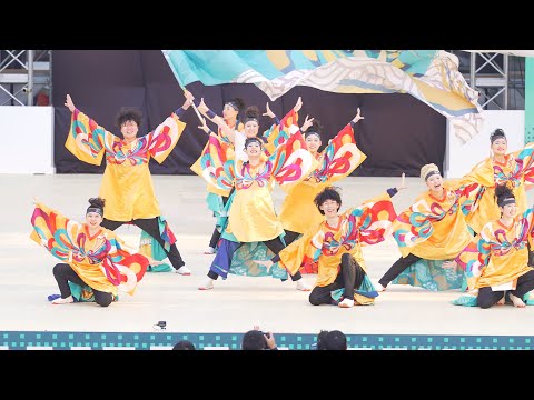 4K] 名古屋学生チーム『鯱』 にっぽんど真ん中祭り 2025