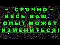 ✔ *АрхиСРОЧНО* « Весь ваш опыт может измениться ! »