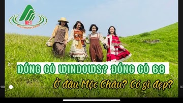 ĐỒNG CỎ WINDOWS, ĐỒNG CỎ 68 Mộc Châu có gì| REVIEW Mộc Châu